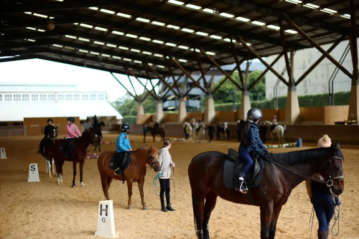 Children group horse riding lesson at Eastside Riding Academy Centennial Park Sydney