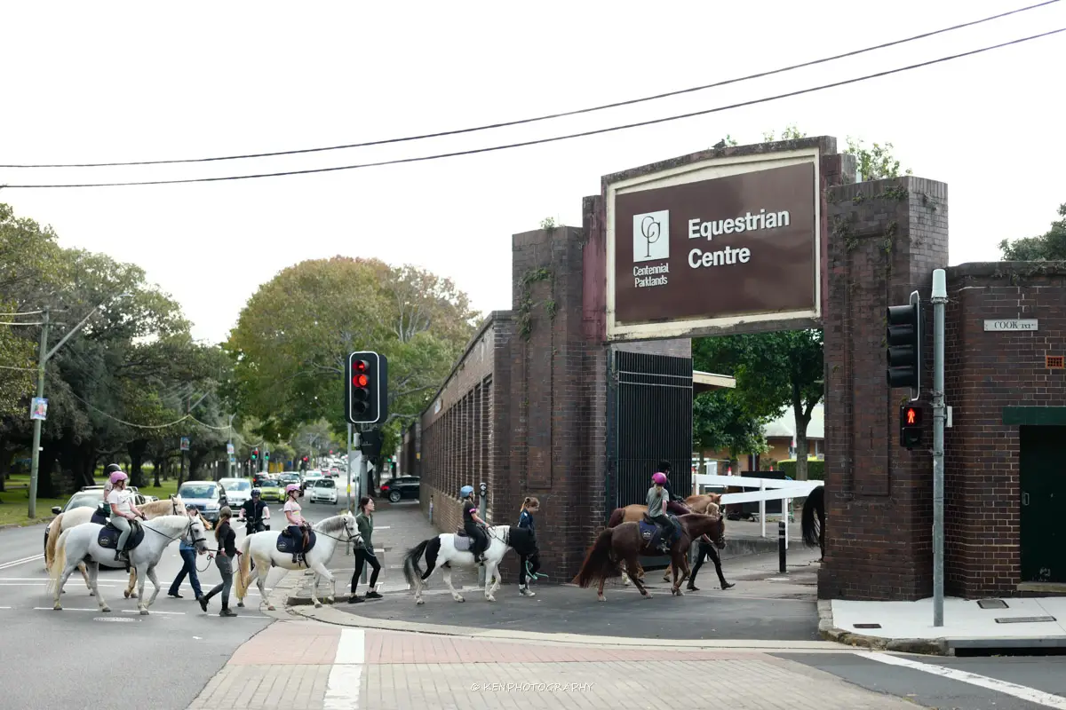 Kids on horseback in Centennial Park Moore Park NSW — Eastside Riding Academy holiday camp