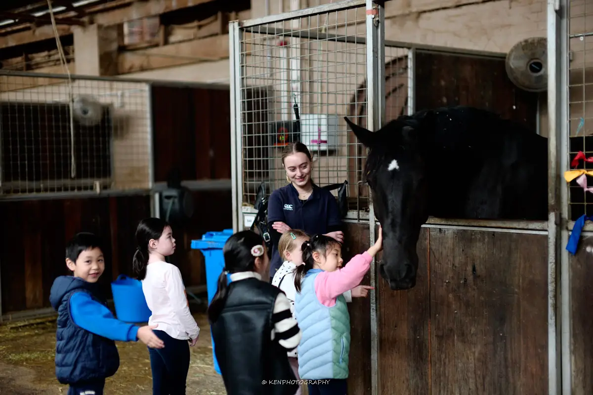 Child learning stable care and horsemanship at Eastside Riding Academy Moore Park Sydney