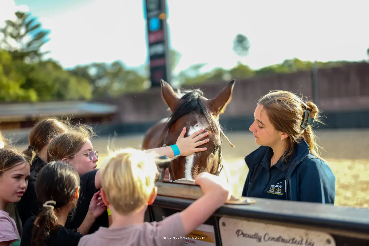 Children learning horse care and horsemanship at Eastside Riding Academy Centennial Park