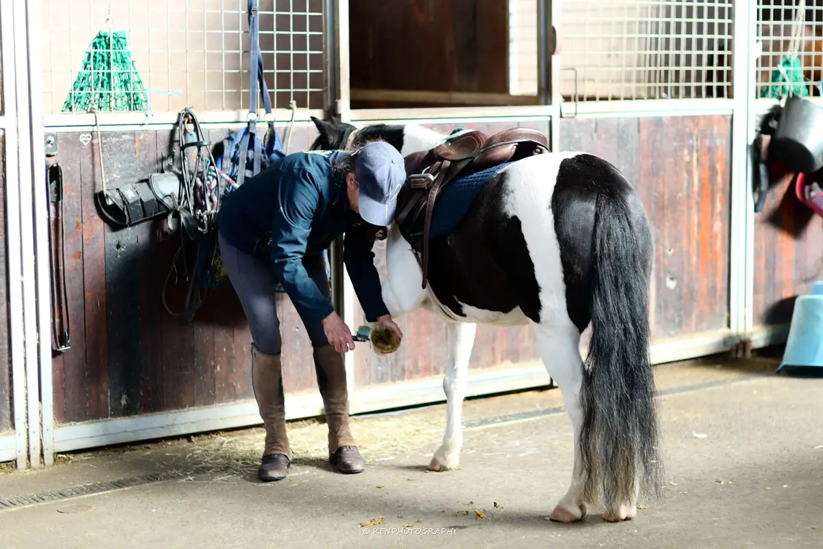 Children immersed in stable life at Eastside Riding Academy Centennial Park Sydney school holidays