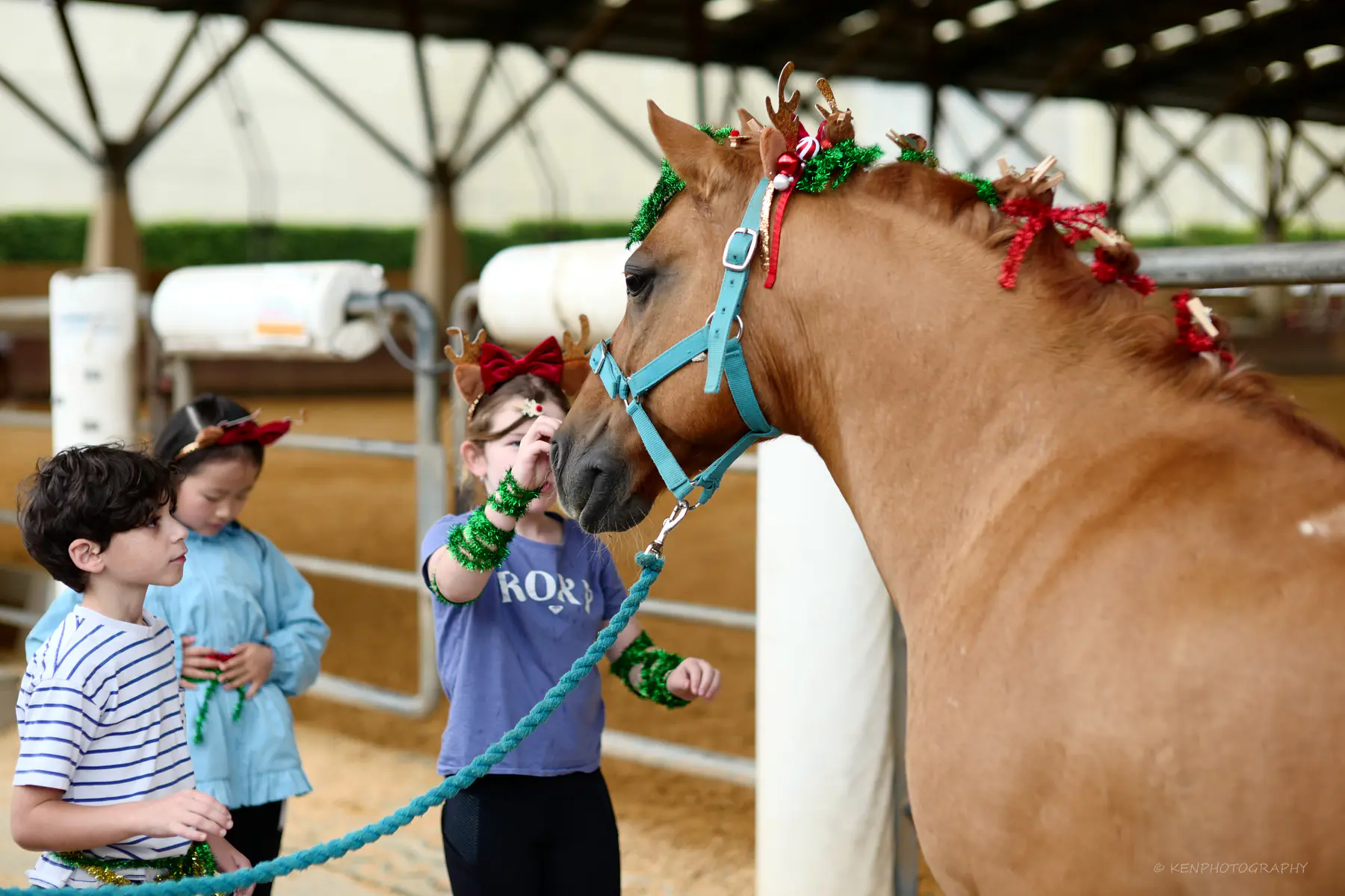 Three children in reindeer antlers meet a palomino horse wearing tinsel