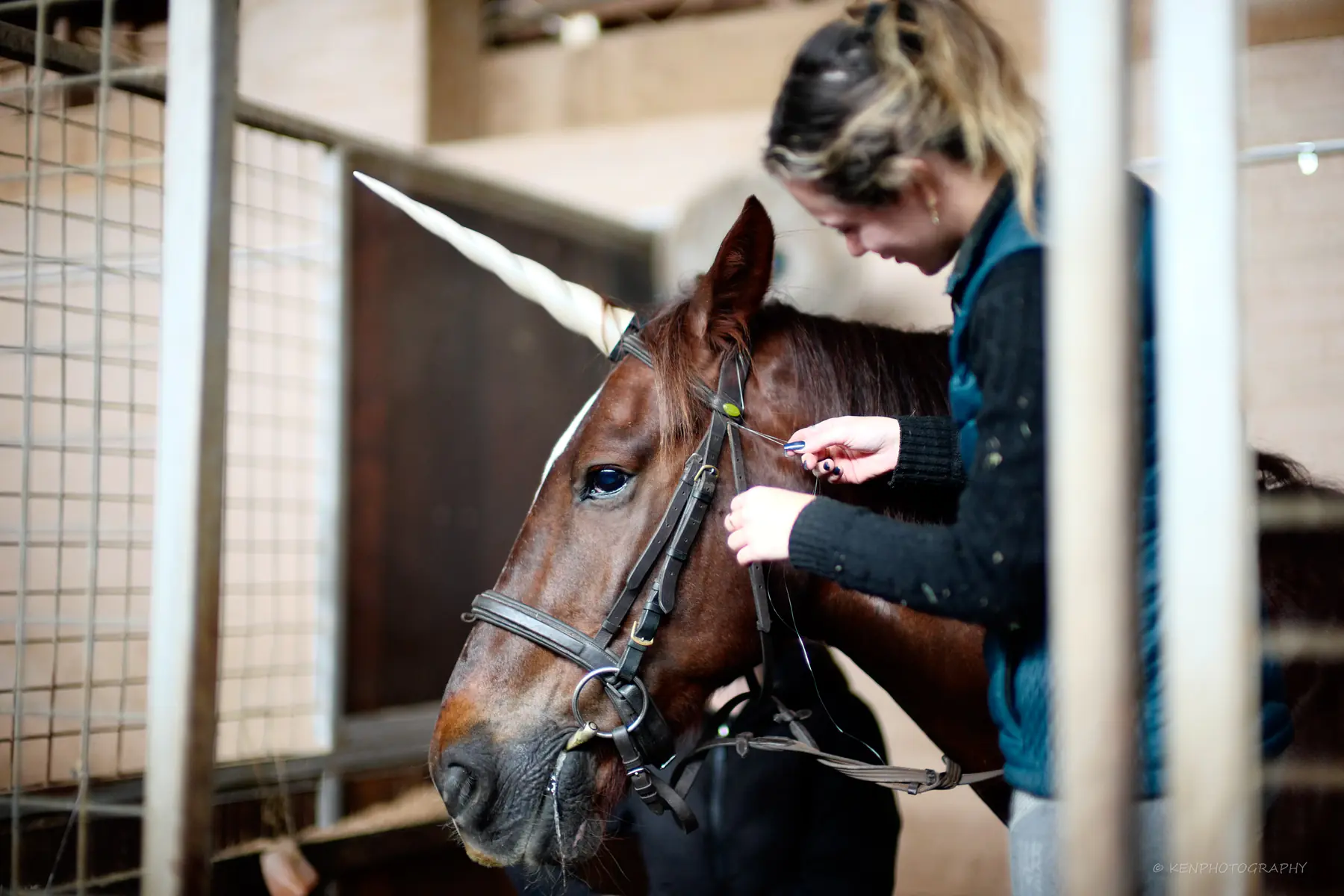 A handler adjusts the bridle on a bay horse wearing a unicorn horn
